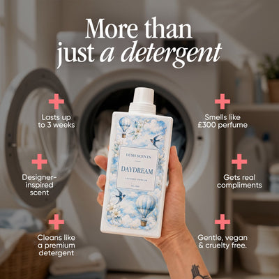 The Detergent